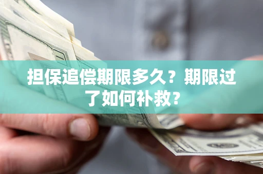 北京担保追偿期限多久？期限过了如何补救？